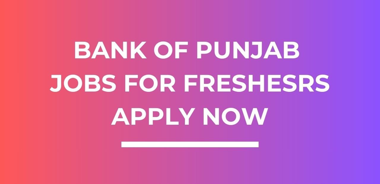 Bank of Punjab Jobs for Freshers